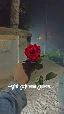 ami vebe nilam 