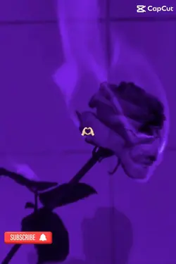 Violet 💜