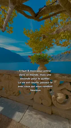 modèle capcut 
