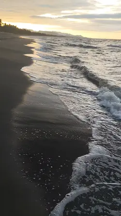 COZY GOLDEN HOUR