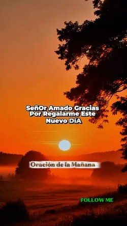 Gratitud papa Dios 