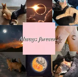 Always forever ♾️ 