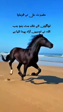 Hazrat Ali Ka Farman