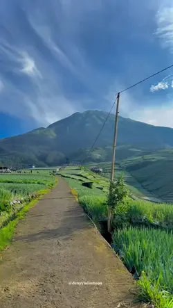 JJ TREND NIH
