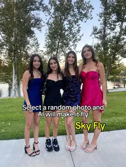 Al sky fly