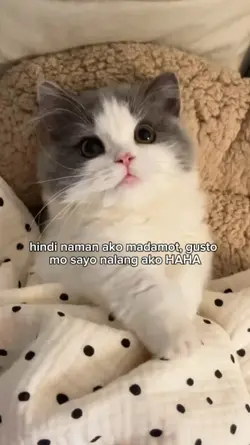 gusto mo ba 