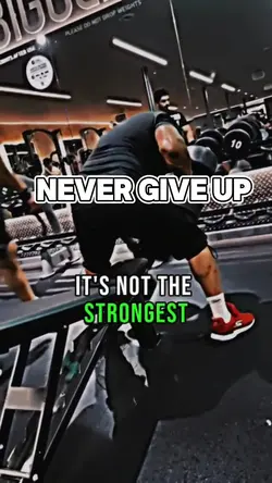 Never give up