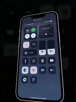 iPhone trend
