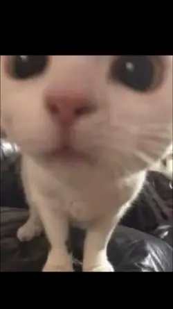 I see me face going 