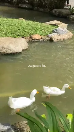 August so far 