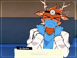 animais de hospital