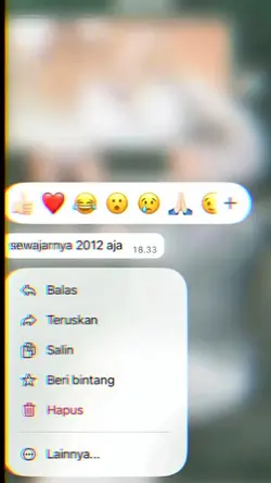 sewajarnya 2012aja