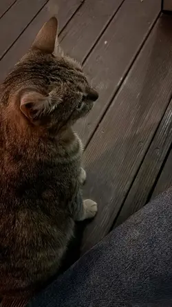 it's hurts 