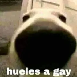 que no te de pena