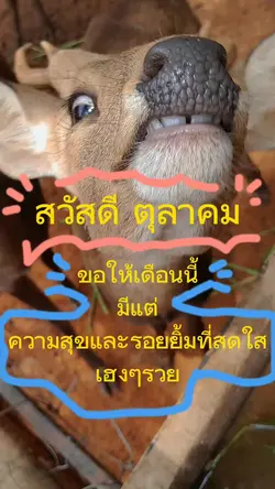 สวัสดีตุลาคม!!