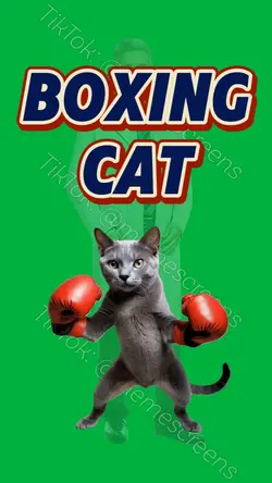 FASTEST BOXING CAT