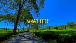What it is so
