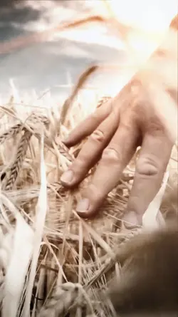 FIELDS OF DREAMS 