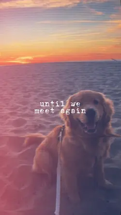 Until We Meet Again