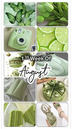 1st Week of August