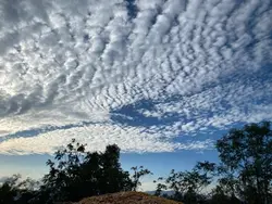 Cielo 