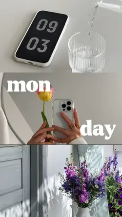 monday