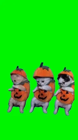 La calabaza 