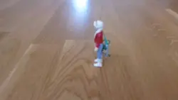 stop motion 