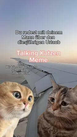 Redende Katzen 