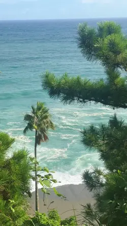 🌊海