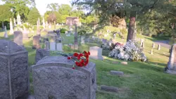 Beloved Ones
