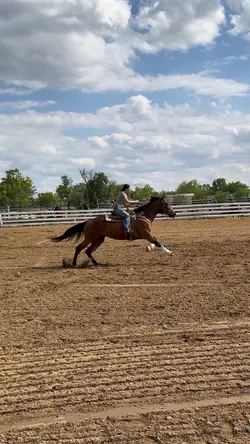 Holy stride 💨