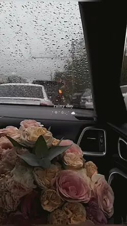rainy day