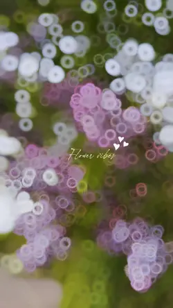 Flower vibes 