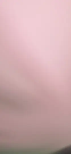 Ado︰向日葵