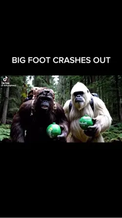 BIG FOOT VLOGS
