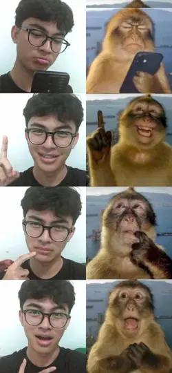 trend monyet