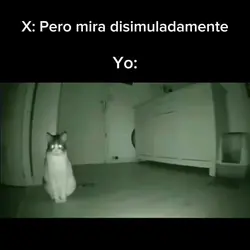 #Tiktok