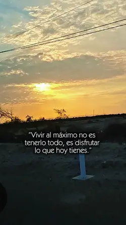la vida es una