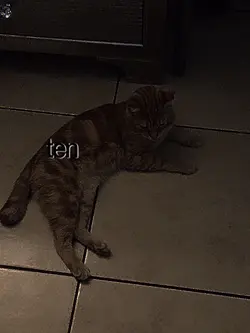 ...