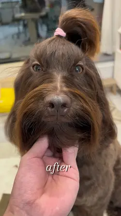 動画編集　before after