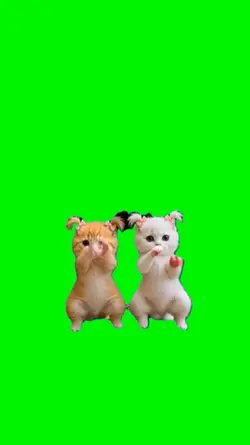 Kittens