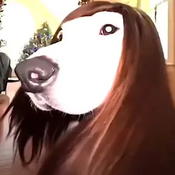 .