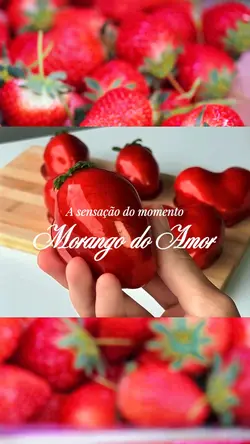Morango do Amor 