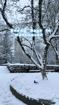Snowy days