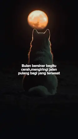Story sad