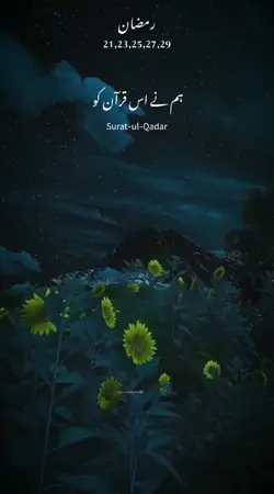 shabe Qadr status