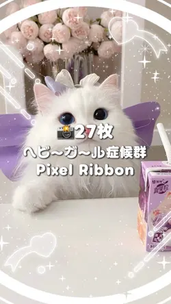 🎵ヘビーガール症候群