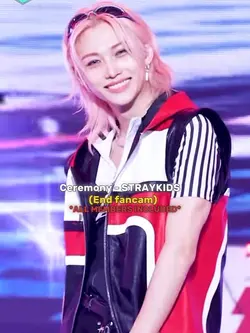 FANCAM