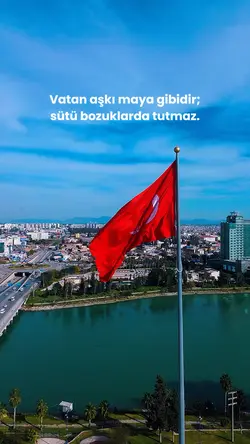 Bayrak Şablonu